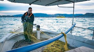 WWF: Πρόσκληση υποβολής προτάσεων επιχορήγησης από 5.000 έως 20.000 ευρώ στους αλιείς μικρής κλίμακας