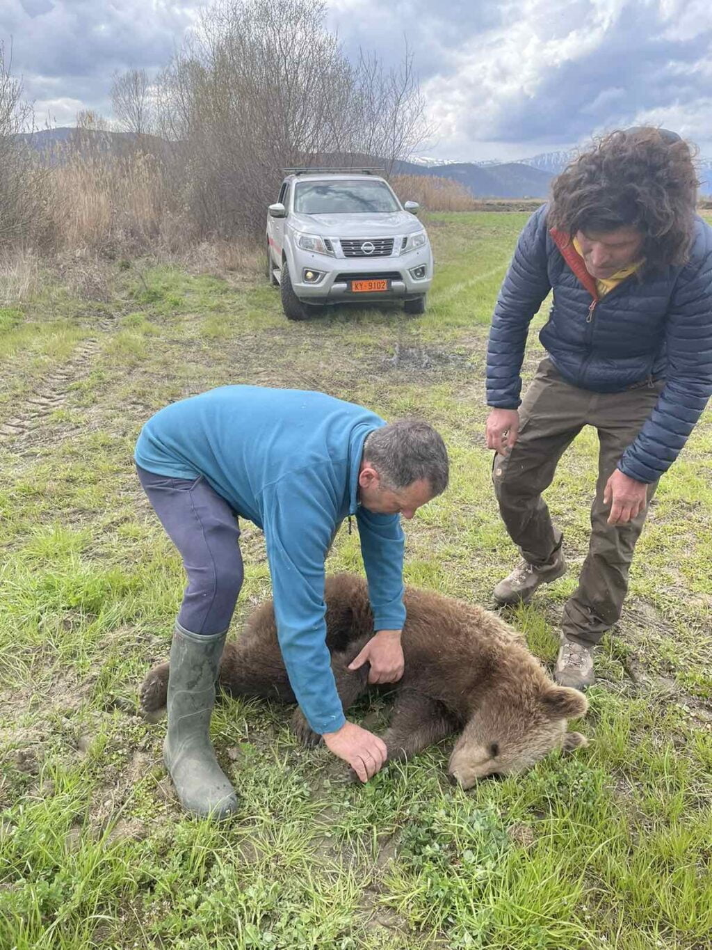 Επιτυχής απεγκλωβισμός αρκούδας στην περιοχή των Πρεσπών