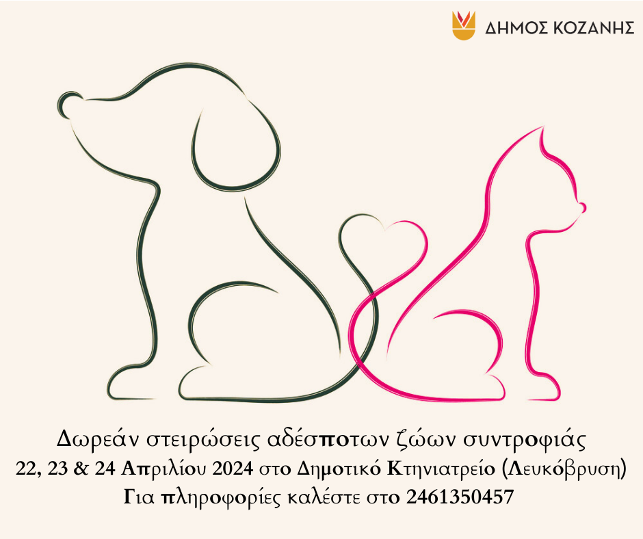Δωρεάν στειρώσεις αδέσποτων ζώων συντροφιάς από τον Δήμο Κοζάνης στις 22, 23 και 24 Απριλίου 2024