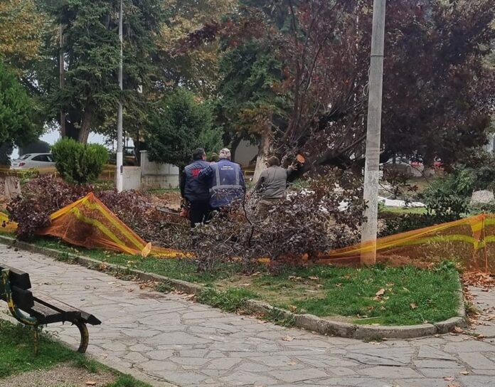 Όταν το πανέμορφο δένδρο έπεφτε, 