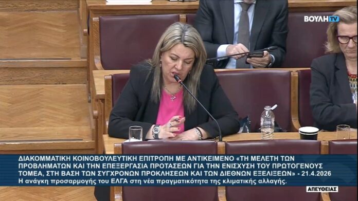 Παρέμβαση της Βουλευτή Μαρίας Αντωνίου στη συνεδρίαση της Διακομματικής Κοινοβουλευτικής Επιτροπής με θέμα τον ΕΛ.Γ.Α.
