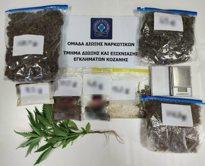 Συνελήφθη 51χρονος ημεδαπός για διακίνηση ναρκωτικών και καλλιέργεια δενδρυλλίου κάνναβης, σε περιοχή της Κοζάνης
